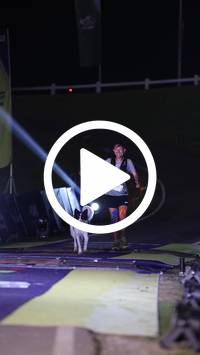 BIB:  <button type="button" onclick="openModal(26940662)" class="btn btn-primary btn-sm float-right" data-toggle="modal" data-target=".modal-high-quality">
                <i class="fa fa-download"></i> Download
                </button>